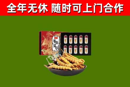 津南区烟酒回收冬虫夏草礼盒.jpg